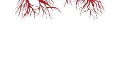 redroots1_cov_e_0226IM8058