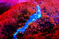 MARVEL-LEGENDS-SERIES-MARVEL-RIVALS-VENOM-JEFF-THE-LAND-SHARK-9