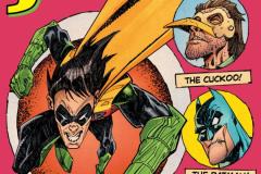 Robin_and_Batman_Jason_Todd_Cv1_var_00141_1in25