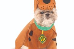 580385-Scooby-Pet