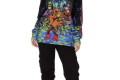 Scooby-Doo-Heebie-Jeebiesville-Hoodie-Sweater-Front