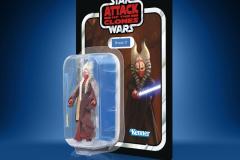 STAR-WARS-THE-VINTAGE-COLLECTION-SHAAK-TI-Package-2