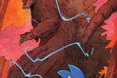 SONIC-THE-HEDGEHOG-X-GODZILLA01
