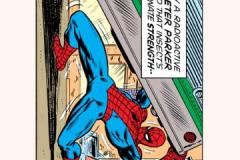 Spider-Man-Bookmark-front