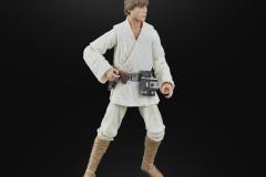 STAR-WARS-THE-BLACK-SERIES-LUKE-SKYWALKER-2