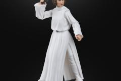 STAR-WARS-THE-BLACK-SERIES-PRINCESS-LEIA-ORGANA-1