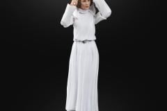 STAR-WARS-THE-BLACK-SERIES-PRINCESS-LEIA-ORGANA-7