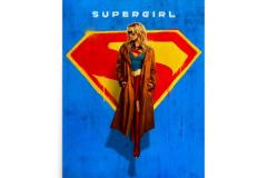 premium-luster-photo-paper-poster-in-24x36-front-6939aacf6bddc