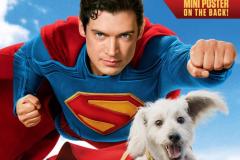 63352-DCC-SML-CB0640-CVR