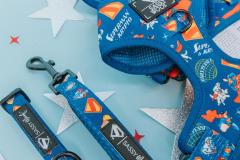 DC_Superman™-Krypto™_Lifestyle-Imgs_06.23-9