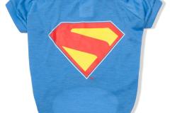 FFP35859-SDF_DC-Comics-Superman-Flying-Logo-Tee_FRONT_2