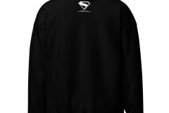 unisex-heavy-blend-hoodie-black-back-675cbc4378e39