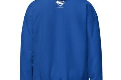 unisex-heavy-blend-hoodie-royal-back-675cbc437b6a5