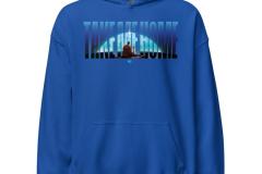 unisex-heavy-blend-hoodie-royal-front-675cbcb2571d1