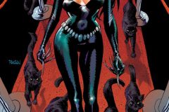 Tales-from-Earth-6-A-Celebration-of-Stan-Lee-1-Catwoman-Open-to-Order-Variant-Panosian