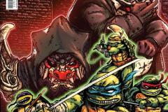 1_TEENAGE-MUTANT-NINJA-TURTLES-14-02