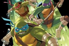 1_TEENAGE-MUTANT-NINJA-TURTLES-14-04