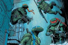 1_TEENAGE-MUTANT-NINJA-TURTLES-14-06