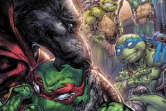 1_TEENAGE-MUTANT-NINJA-TURTLES-14-11