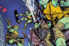 1_TEENAGE-MUTANT-NINJA-TURTLES-14-14