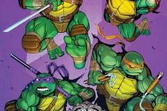 1_TEENAGE-MUTANT-NINJA-TURTLES-14-15