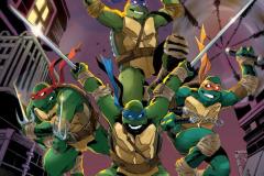 1_TEENAGE-MUTANT-NINJA-TURTLES-14-17