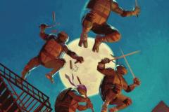 1_TEENAGE-MUTANT-NINJA-TURTLES-14-20