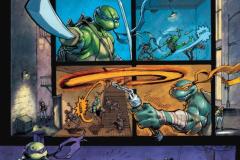 TEENAGE-MUTANT-NINJA-TURTLES-30001