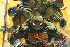 TEENAGE-MUTANT-NINJA-TURTLES-30002