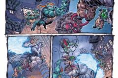 TEENAGE-MUTANT-NINJA-TURTLES-30004