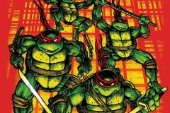 TEENAGE-MUTANT-NINJA-TURTLES-30006