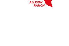 ThatTexasBlood_1-Cover-E-Blank_Sketch