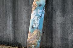 The-Last-of-Us01