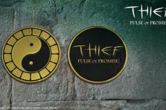 ThiefCoin_Promo