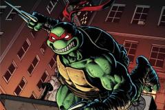 TMNT17