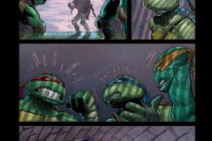 TMNT06