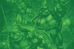 TEENAGE MUTANT NINJA TURTLES #13 Blind Bag, art by Freddie E. Williams II