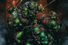TEENAGE MUTANT NINJA TURTLES #13 1:50 full art variant by Clayton Crain