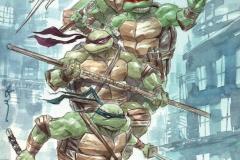 TEENAGE MUTANT NINJA TURTLES #13 1:100 variant by Dustin Nguyen