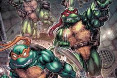 TEENAGE-MUTANT-NINJA-TURTLES-13-Cover-A-by-Freddie-E.-Williams-II