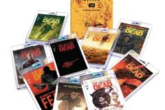 Slabs-twd-100