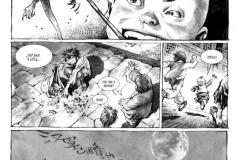 TWIN-LOTUSES_pg17