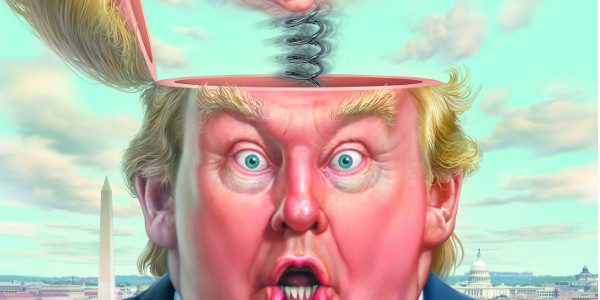 MAD About Trump: A Brilliant Look at Our Brainless President