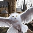 McFarlane Toys and Warner Bros. CONSUMER PRODUCTS ANNOUNCE New Wizarding world INSPIRED figure line LAUNCHING Fall 2019