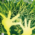 The Swamp Thing #13, lucky for us, is another strong issue. This DC title is scheduled for a 16-issue run, and there is still power in the pistons. The current […]